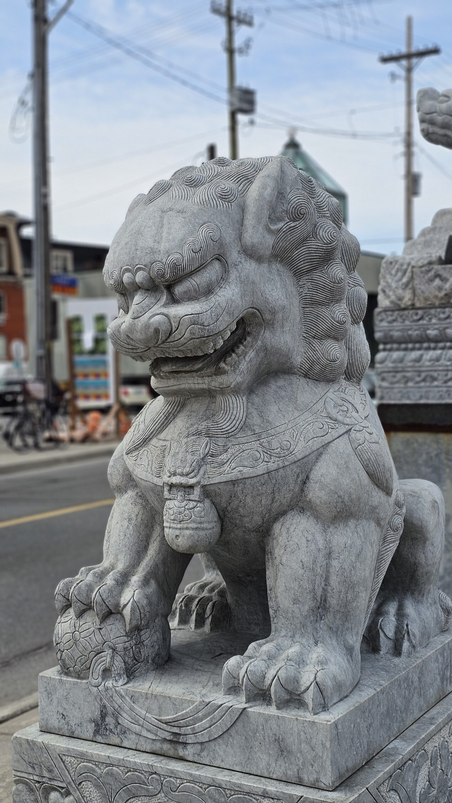 Lion view 2
