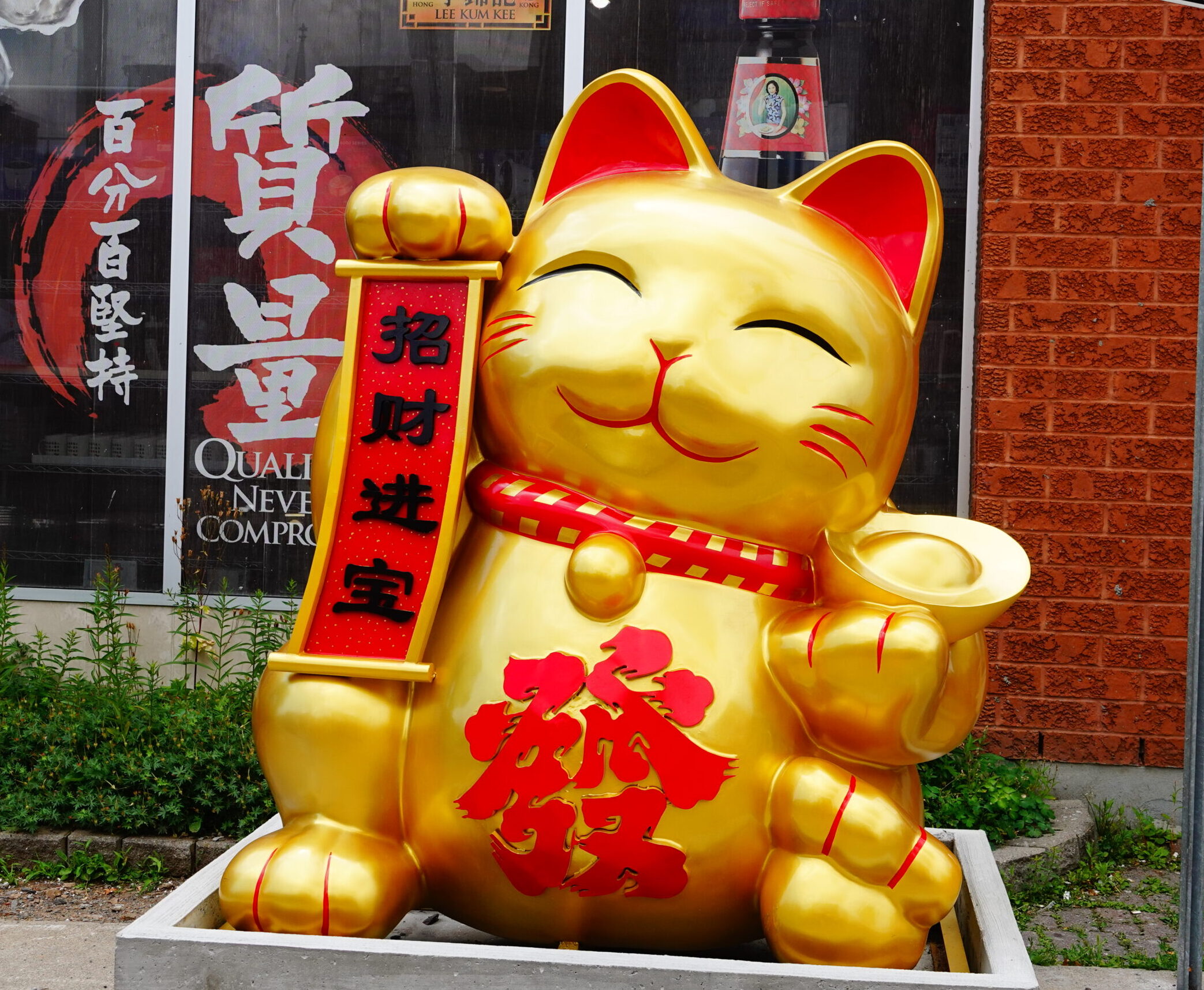 The Lucky Cat view 1