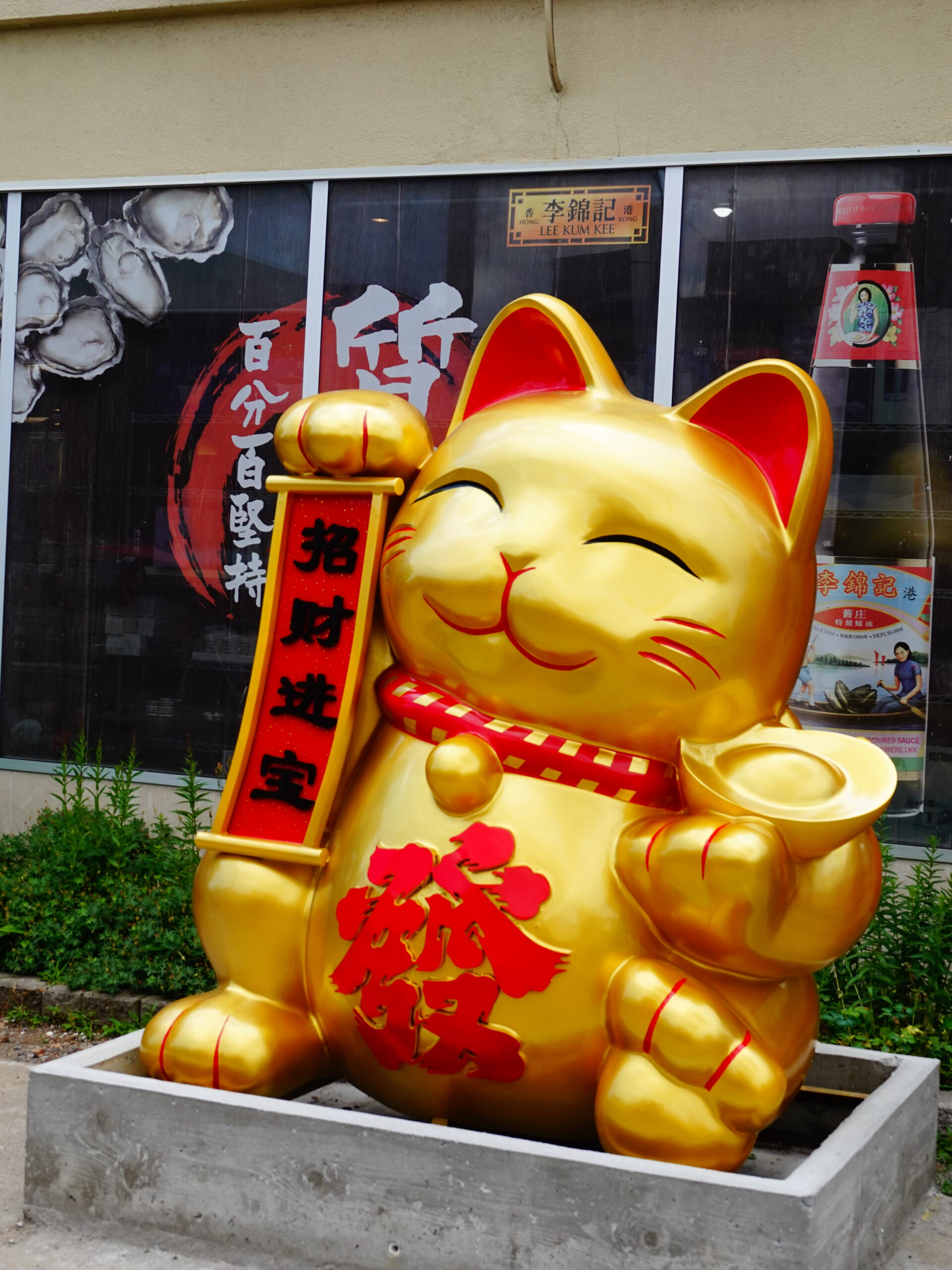 The Lucky Cat view 2