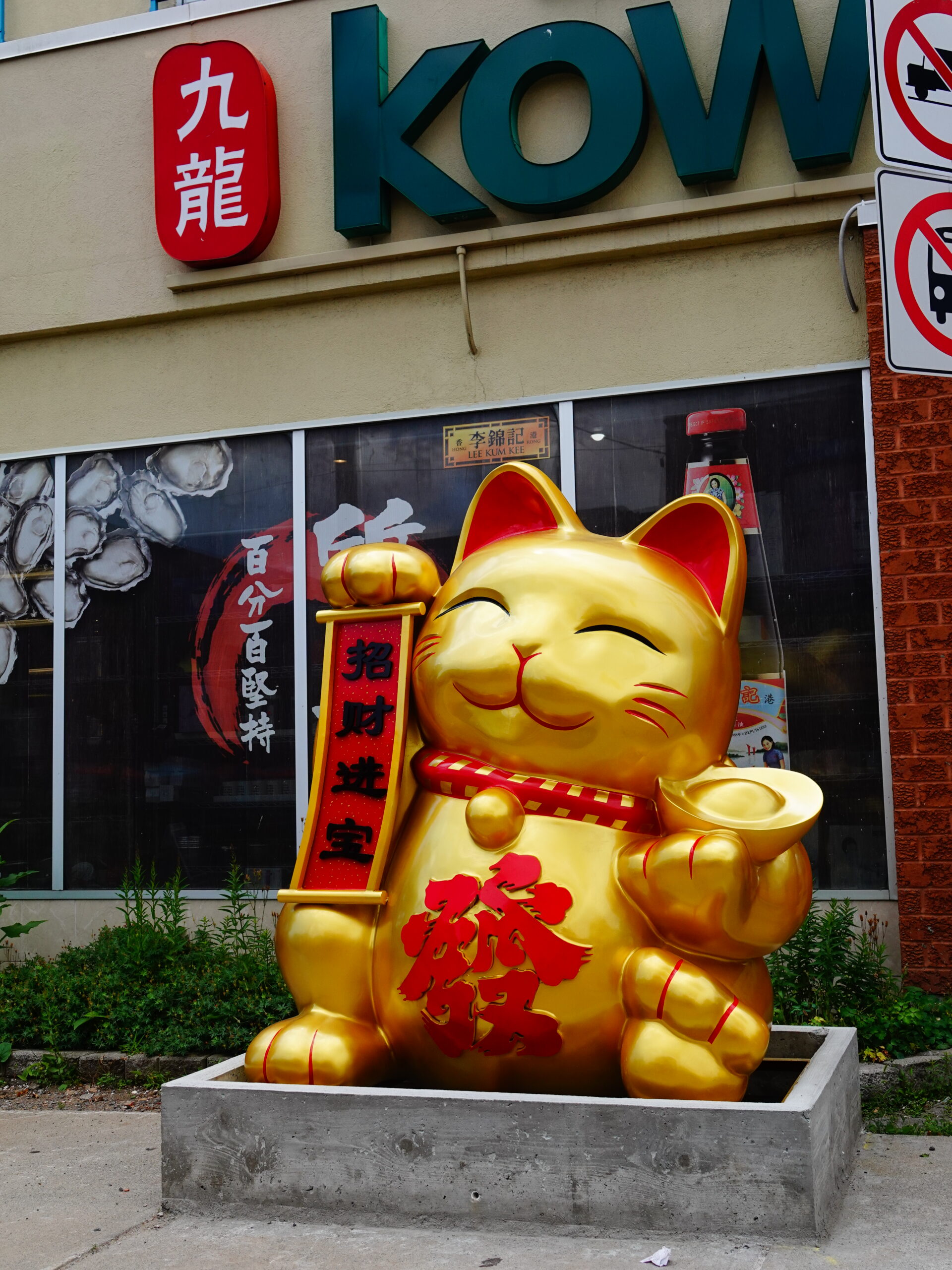 The Lucky Cat view 3